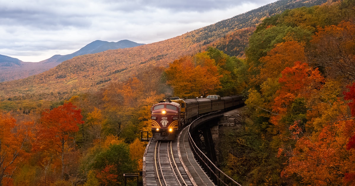 Cassinos ao Vivo com Dealers Reais — Os Melhores em 2026